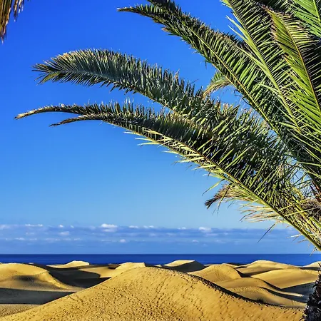 View I Σπίτι διακοπών